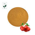 Freeze Dried Hawthorn Berry Powder Extract